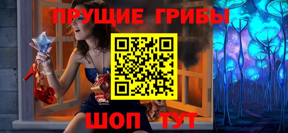 Псилоцибиновые грибы мицелий Новотроицк