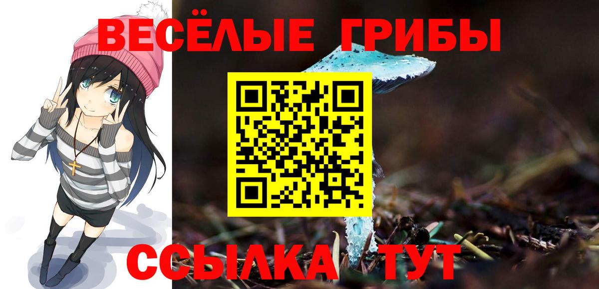 Галлюциногенные грибы Psilocybe  Галлюциногенные грибы Cubensis  дарнет шоп  Вход с VPN  Новотроицк 